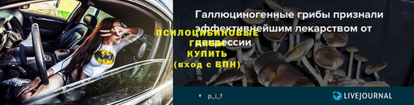 амф Бугульма