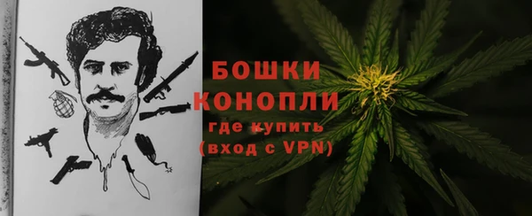 СК Бородино