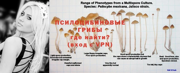 амф Бугульма