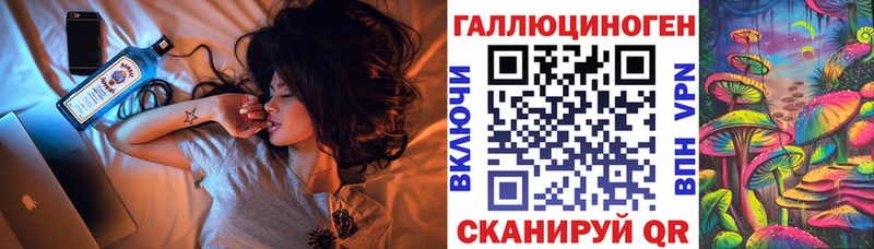 наркотики  hydra зеркало  Псилоцибиновые грибы мицелий  Гурьевск 
